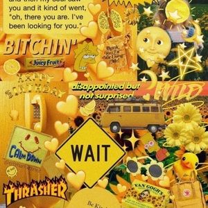 Meet your Posher, Kaylee